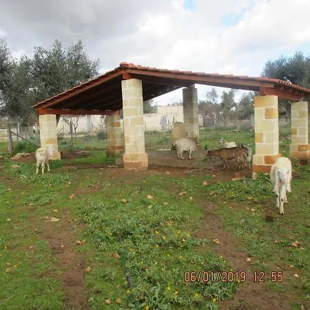 Masseria San Vito - Con Piscina Villa Copertino