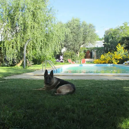 Villa Masseria San Vito - Con Piscina Copertino